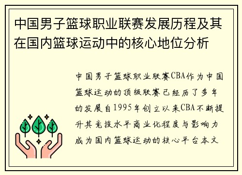 中国男子篮球职业联赛发展历程及其在国内篮球运动中的核心地位分析